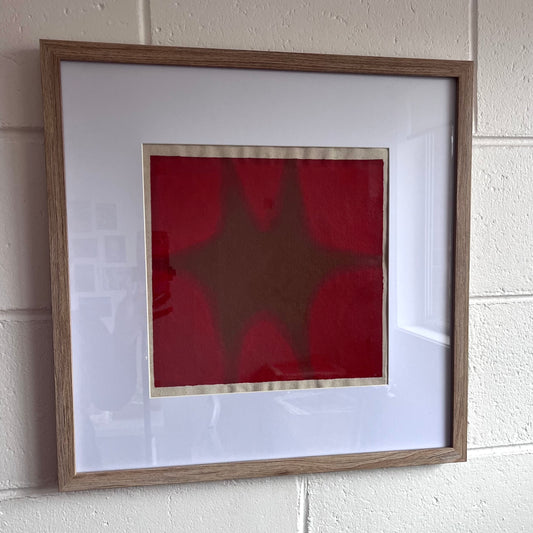 Soft Star #24
